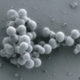 Illustration for article titled Scientists create artificial life - synthetic DNA that can self-replicate